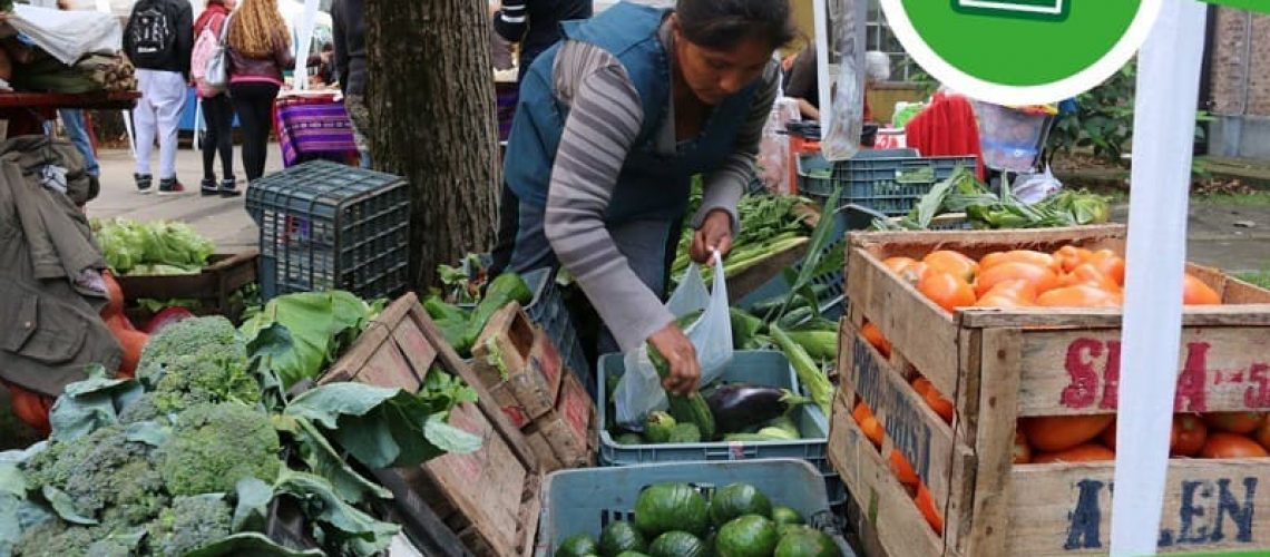 220967249_4391625484192196_1858178166926976270_n