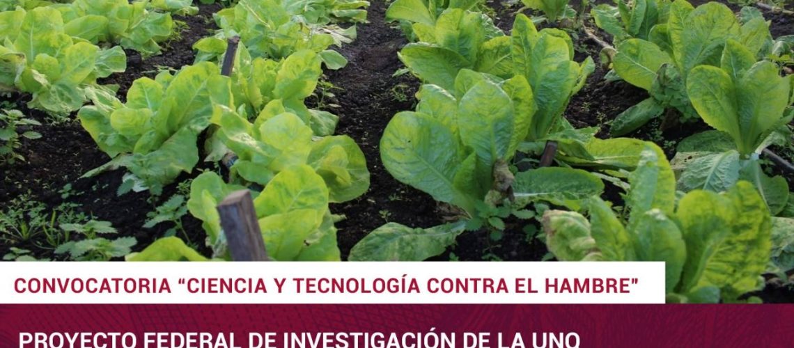 WhatsApp-Image-2021-06-09-at-15.26.48